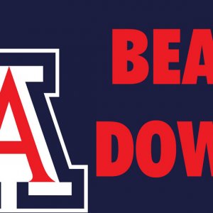 arizona_wildcats_by_devildog360-d52jpvt-2.jpg