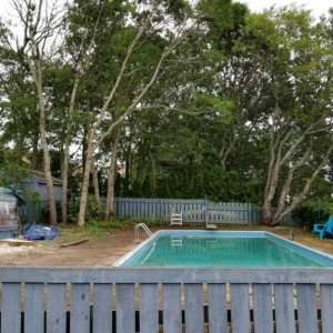 Pool with Tree down.jpg